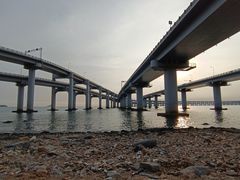 -星海湾跨海大桥