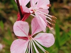 -无锡新湖铂尔曼大酒店