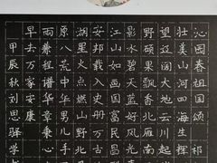 -阿妮亚少儿美术书法(望京店)