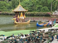 -西双版纳原始森林公园