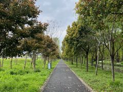 -广富林郊野公园