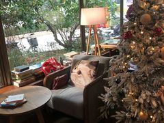 -咖法森林·咖啡  酒吧(天河店)