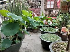 -荔湾湖公园