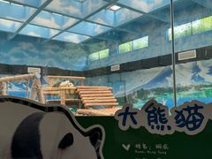 -柳州市动物园