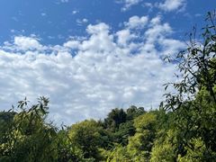 -凤栖山
