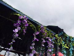 -摩梭传统篝火晚会