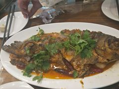 老醋焖鱼-晋B2008刀削面(小南庄店)
