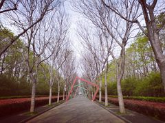 -洛阳市隋唐城遗址植物园