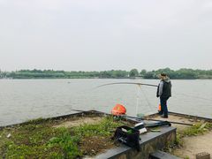 -上海都市菜园