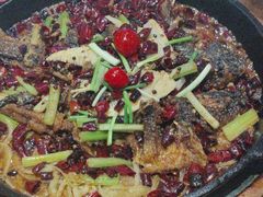 -老板恋上鱼(恒隆广场店)