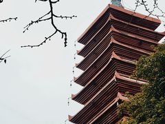 -宝光寺