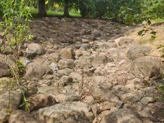 -白塘生态植物园