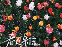 -苏州上方山国家森林公园
