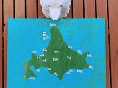 -札幌二条市场 大矶(本店)