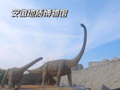 -安徽省地质博物馆