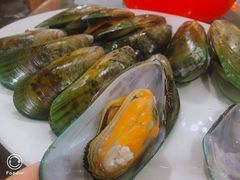 青口-蚝专家(北滘店)