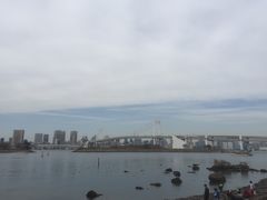 -台场海滨公园船码头