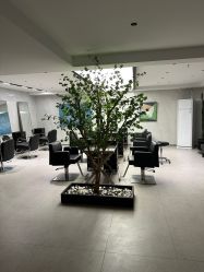 -付军剪艺JF ProSalon