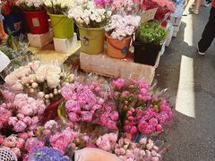 -循礼门鲜花花市(武汉循礼门店)