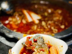 净鱼头-三只耳火锅(宽窄巷子店)
