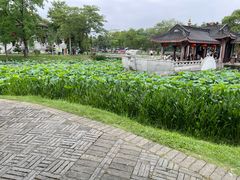 -惠州西湖风景名胜区-丰渚园