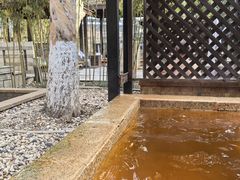 -春晖园度假酒店温泉