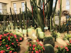 -石家庄市植物园