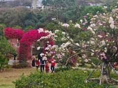 -东莞植物园