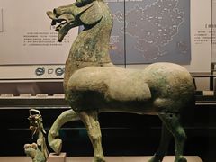 -广西壮族自治区博物馆