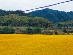 -东钱湖旅游度假区