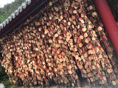-丽江玉水寨
