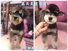 -FAELING PETS美天灵宠物(富力广场店)