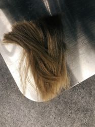 -斑斓色彩沙龙