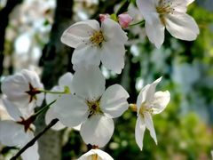 -苏州河梦清园环保主题公园