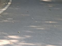 -三门江国家森林公园