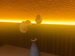 -耶里夏丽·新疆菜·28年喀什老馆(田林东路店)