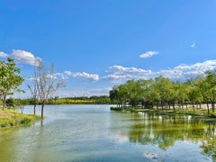 -东郊湿地公园