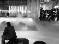 大堂-Seesaw Coffee(朝阳大悦城店)