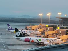 -南京禄口机场雅高铂尔曼大酒店