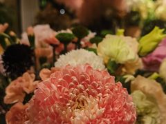 -春暖花开(西溪店)