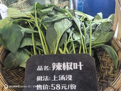 -猪肉婆私房菜(容桂总店)