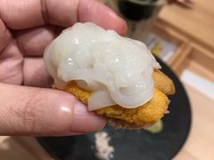 油墨鱼-橼舍鮨青木