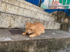 -大澳