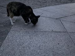 -南翠屏公园