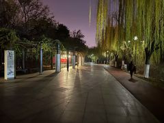 -南翠屏公园