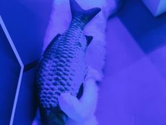 -零纪元VR体验馆·桌游(黄浦店)