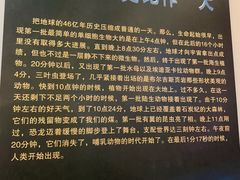 -辽宁古生物博物馆