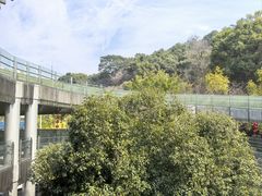 -福道