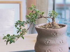 -听雨小筑茶舍(观音桥·龙湖新壹街店)