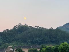 -福建土楼（华安）旅游区•大地土楼群
